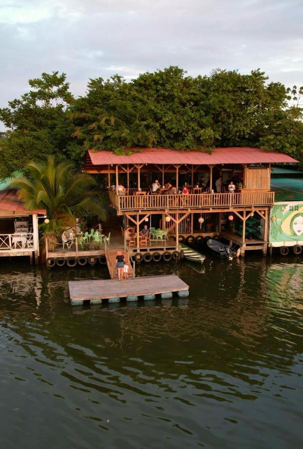 El Hostel Del Patio Tortuguero Exterior foto